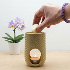 Collection image for: Wax melts y quemadores