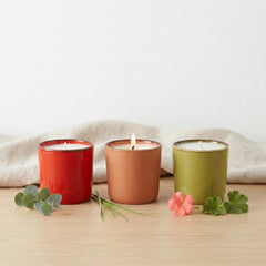 Collection image for: Velas y esencias con aromas frescos