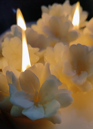 Vela aromática Flor de cerezo Nara