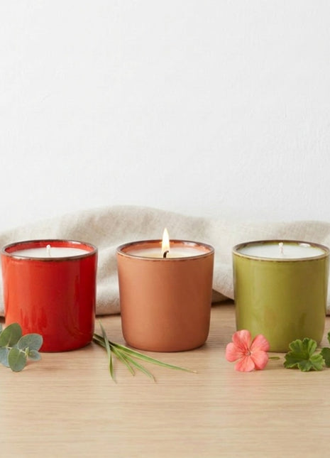 Kit 3 velas aromáticas Citronela, Geranio y Limón Suculenta