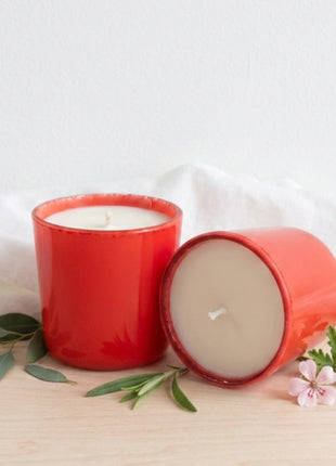 Vela aromática Citronela, Geranio y Limón Suculenta Roja