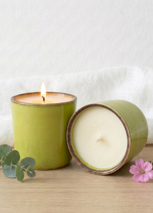 Kit 3 velas aromáticas Citronela, Geranio y Limón Suculenta