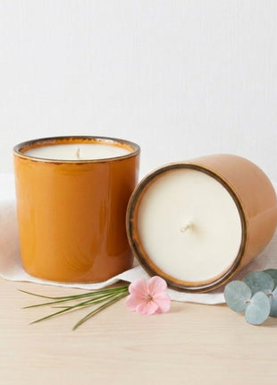 Vela aromática Citronela, Geranio y Limón Suculenta Naranja