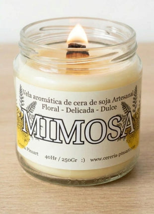 Vela tarro - Mimosa