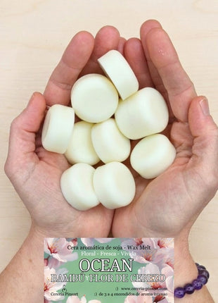 Wax melts Bambú y Flor de Cerezo Ocean