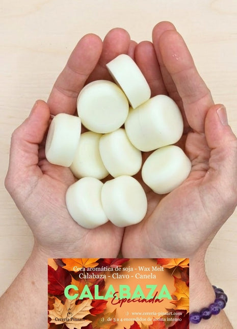 Wax melts Calabaza Canela y Clavo