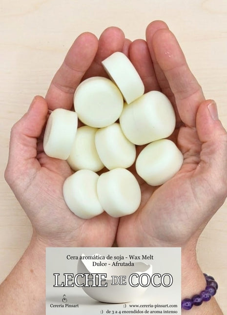 Wax melts Leche de Coco