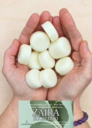 Wax melts Eucalipto Zaira