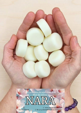 Wax melts Flor de Cerezo Nara