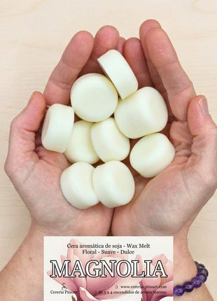 Wax melts Magnolia