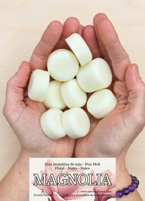 Wax melts Magnolia