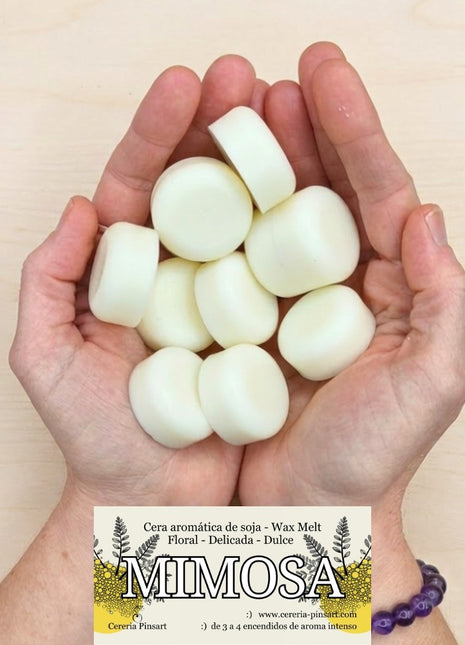 Wax melts Mimosa
