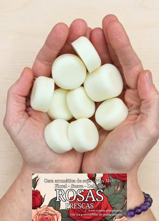 Wax melts Rosas frescas