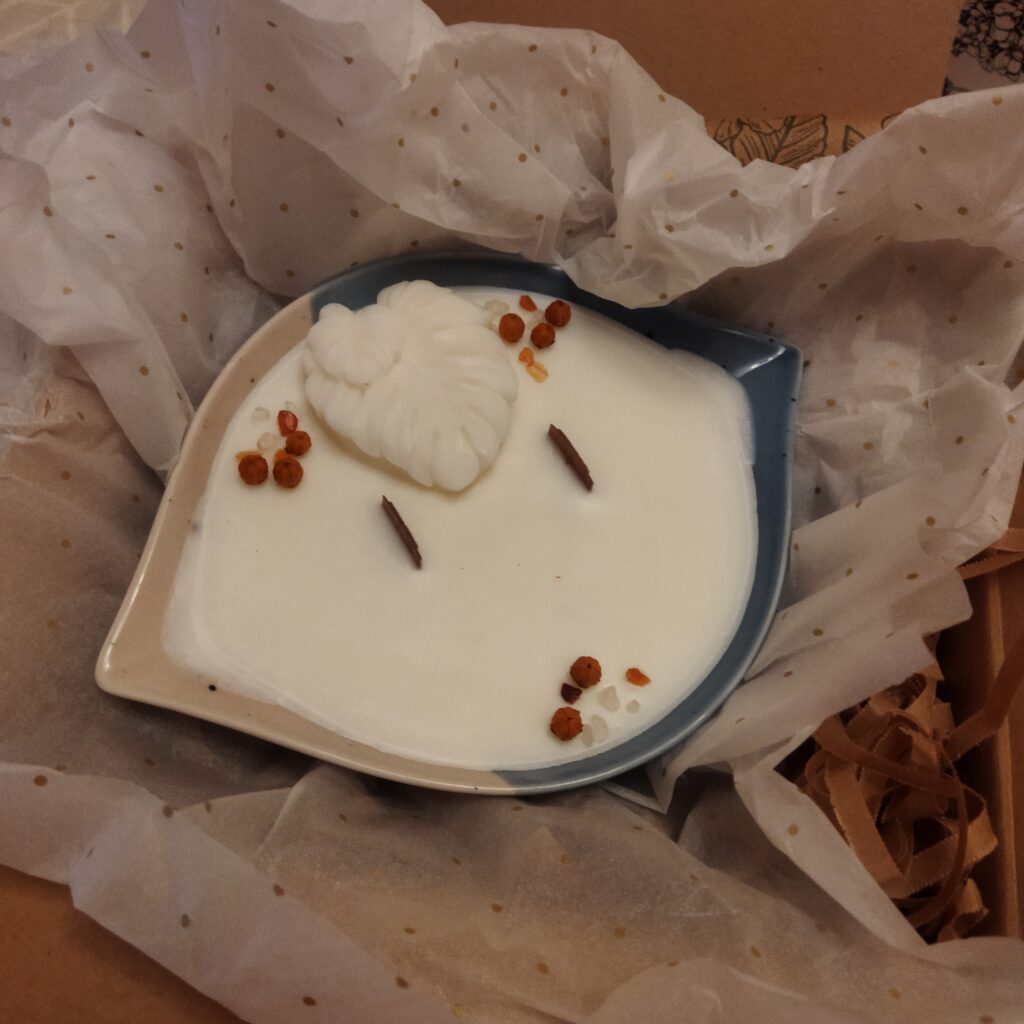 Imagen #1 de LOLA CÓRDOBA SAELICES